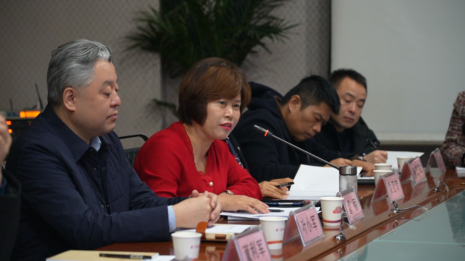 C1351 - frame at 0m0s.jpg